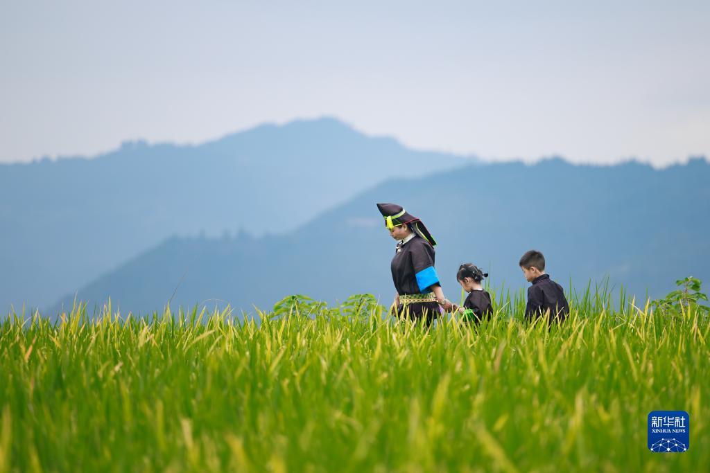 博狗游戏登录